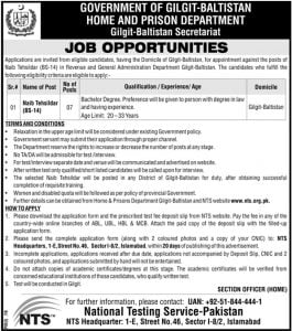 naib-tehsildar-nts-jobs