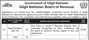 HEC Naib Tehsildar Test Syllabus Pattern