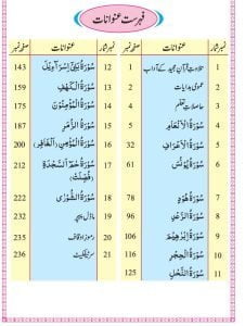 Class 10 Tarjuma Tul Quran pdf Book