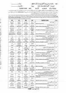 class 12 sociology past papers solved notes pdf