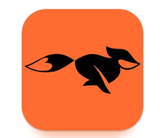 fastfox vpn