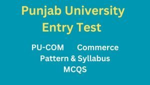 PU COM Entry Test Syllabus MCQS pdf