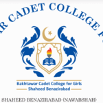 Bakhtawar Cadet College 8th Class Entry Test Syllabus Past Papers
